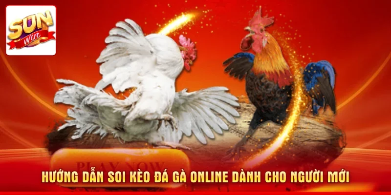 Soi Kèo Đá Gà Online