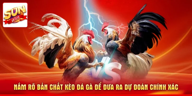 Nắm rõ bản chất kèo đá gà để đưa ra dự đoán chính xác