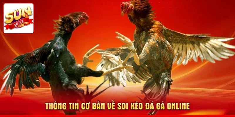Thông tin cơ bản về soi kèo đá gà online